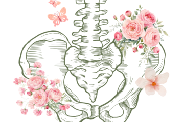 Women's Pelvic Floor Health